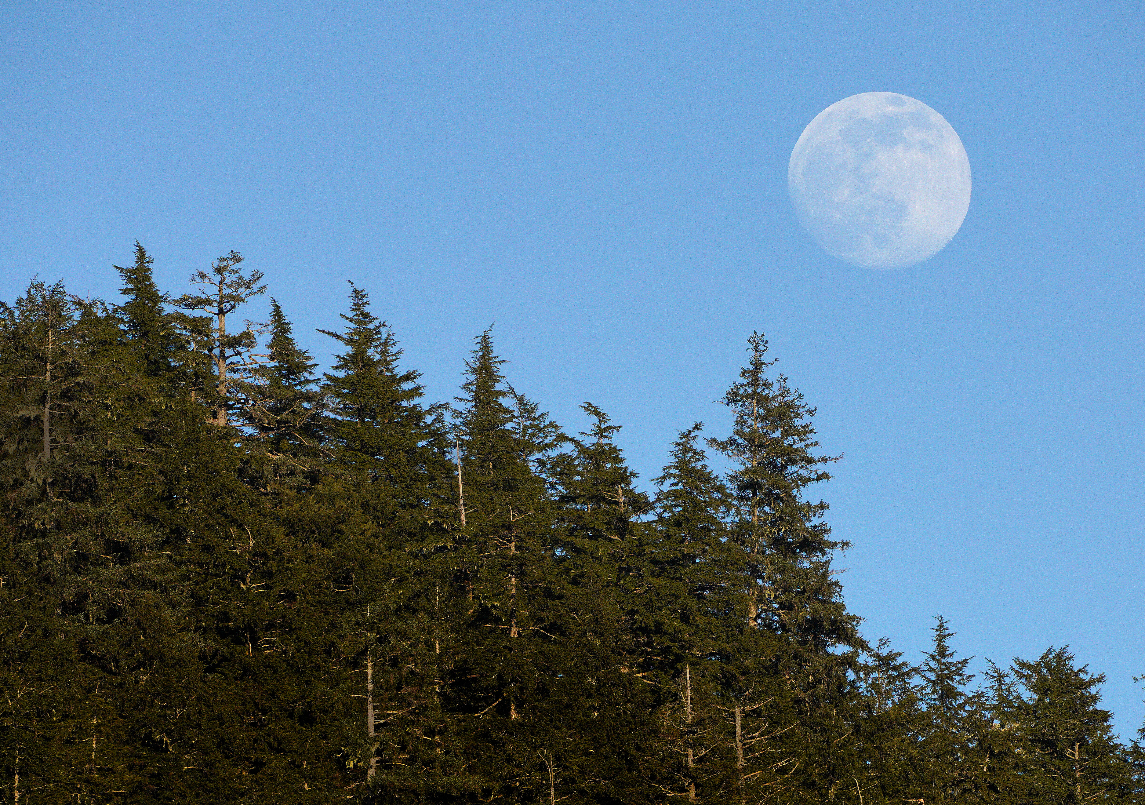 Moon 041422 01
